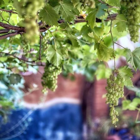 Dar Baibou Panzió Chefchaouen Kültér fotó
